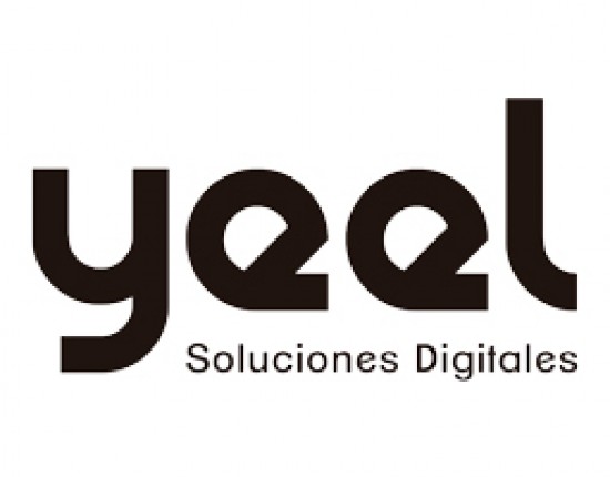 desarrollo web guadalajara
